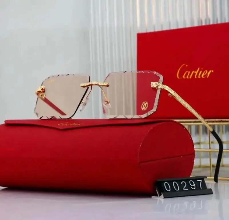 Cartier Sunglasses — foto 6 de 10