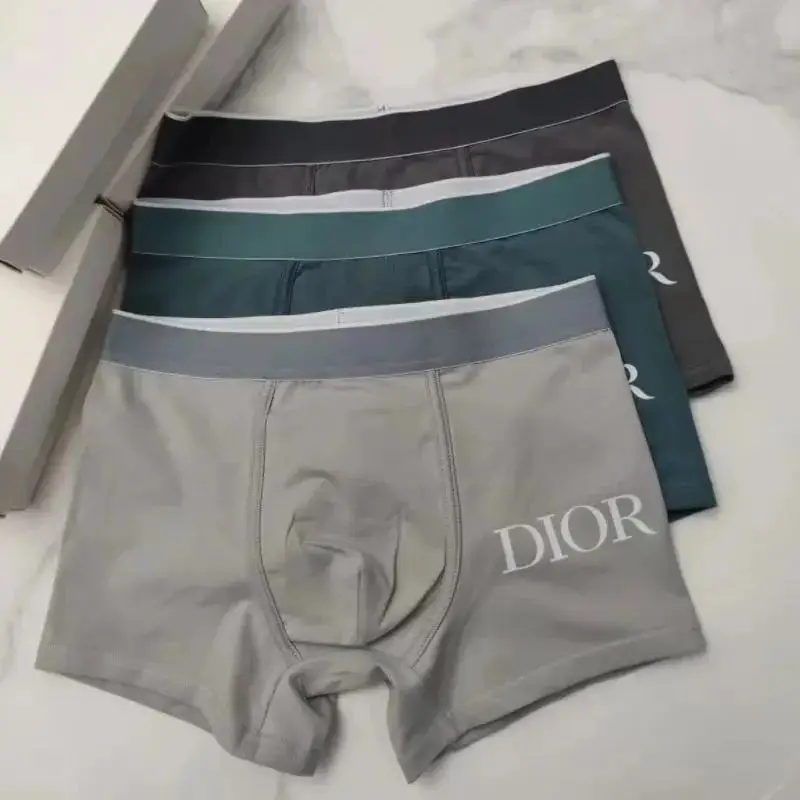 Dior Underwear — foto 13 de 14