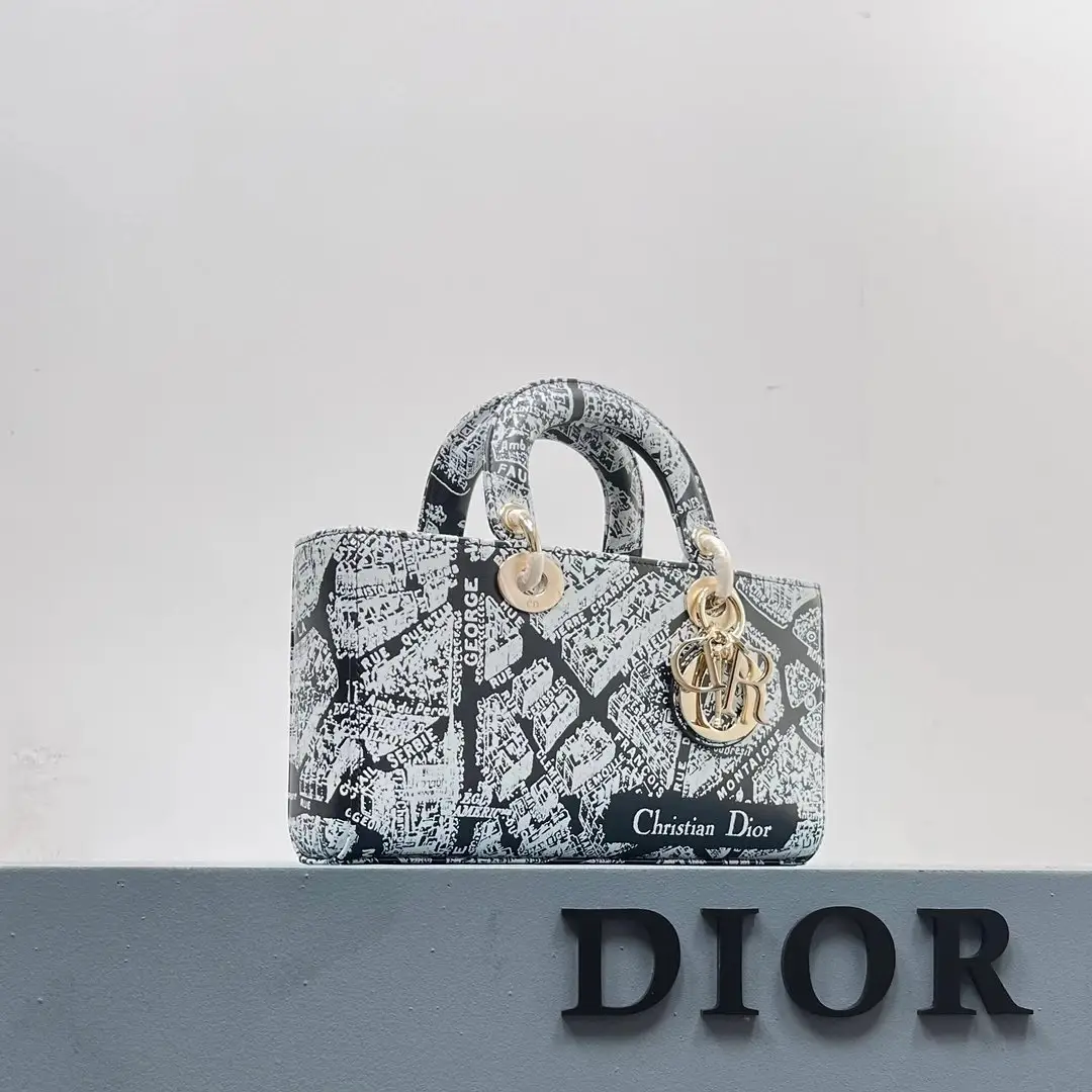 Dior Handbags [15 styles]