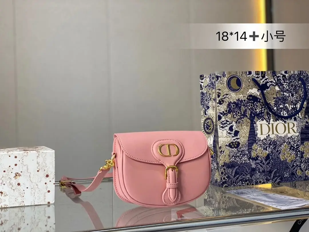 Dior Saddle Bag [15 styles] — foto 11 de 15