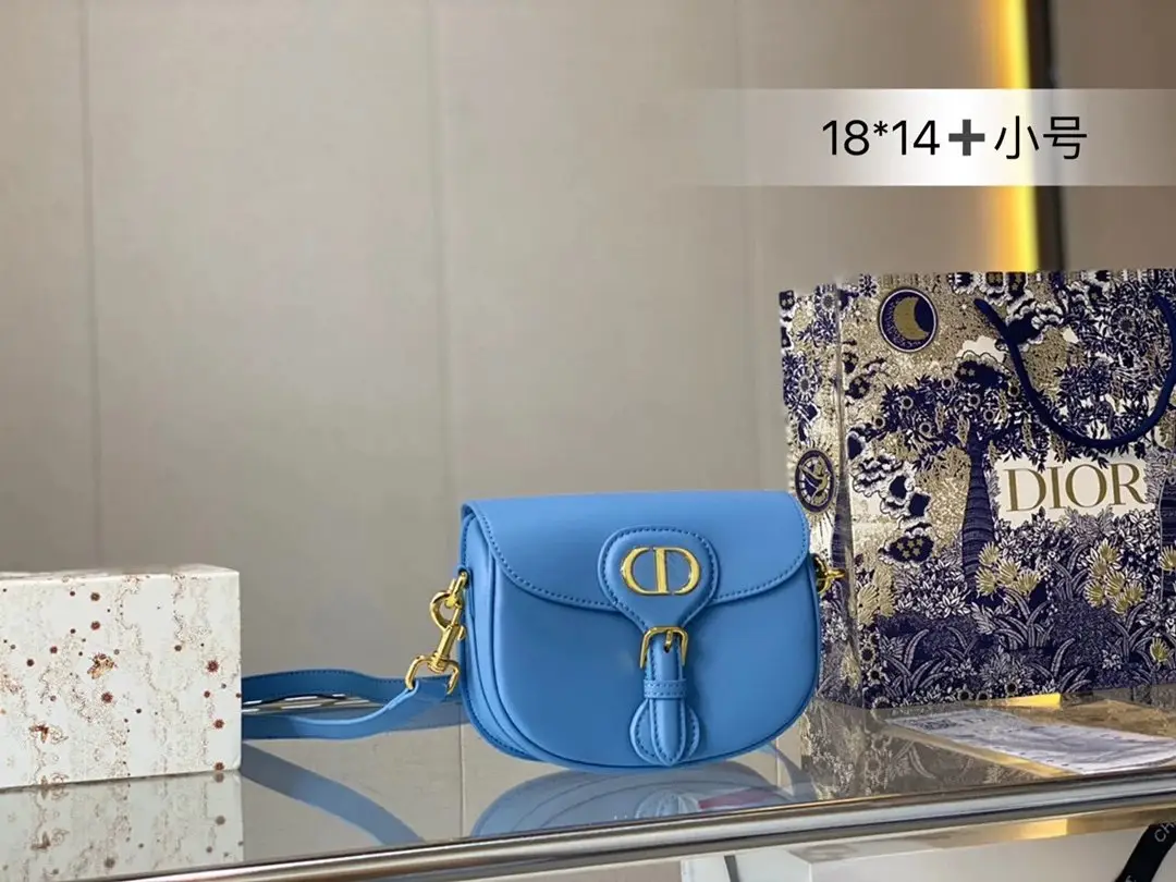 Dior Saddle Bag [15 styles] — foto 13 de 15